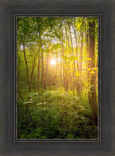 Load image into Gallery viewer, Sweet Hour of Prayer
