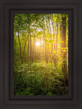 Load image into Gallery viewer, Sweet Hour of Prayer
