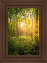 Load image into Gallery viewer, Sweet Hour of Prayer
