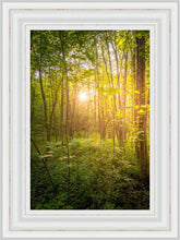Load image into Gallery viewer, Sweet Hour of Prayer
