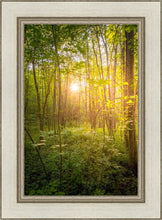 Load image into Gallery viewer, Sweet Hour of Prayer

