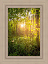 Load image into Gallery viewer, Sweet Hour of Prayer
