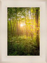 Load image into Gallery viewer, Sweet Hour of Prayer
