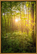 Load image into Gallery viewer, Sweet Hour of Prayer
