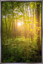 Load image into Gallery viewer, Sweet Hour of Prayer
