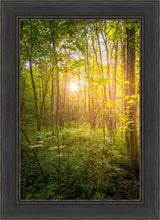 Load image into Gallery viewer, Sweet Hour of Prayer
