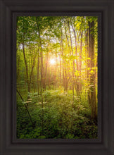 Load image into Gallery viewer, Sweet Hour of Prayer
