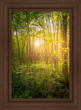 Load image into Gallery viewer, Sweet Hour of Prayer
