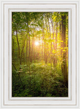 Load image into Gallery viewer, Sweet Hour of Prayer
