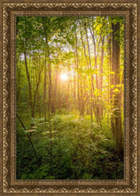 Load image into Gallery viewer, Sweet Hour of Prayer
