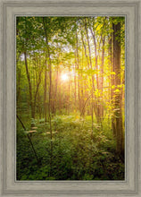 Load image into Gallery viewer, Sweet Hour of Prayer
