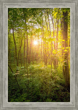Load image into Gallery viewer, Sweet Hour of Prayer
