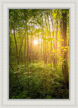 Load image into Gallery viewer, Sweet Hour of Prayer
