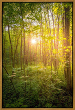 Load image into Gallery viewer, Sweet Hour of Prayer
