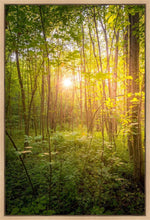 Load image into Gallery viewer, Sweet Hour of Prayer
