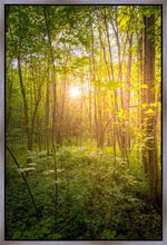 Load image into Gallery viewer, Sweet Hour of Prayer
