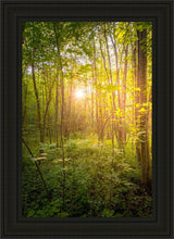 Load image into Gallery viewer, Sweet Hour of Prayer
