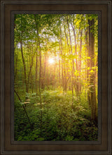 Load image into Gallery viewer, Sweet Hour of Prayer
