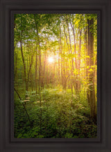 Load image into Gallery viewer, Sweet Hour of Prayer
