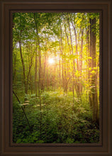 Load image into Gallery viewer, Sweet Hour of Prayer
