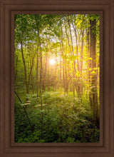 Load image into Gallery viewer, Sweet Hour of Prayer
