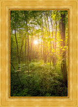 Load image into Gallery viewer, Sweet Hour of Prayer

