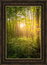 Load image into Gallery viewer, Sweet Hour of Prayer
