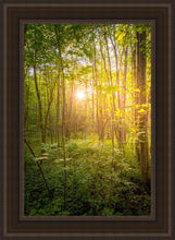 Load image into Gallery viewer, Sweet Hour of Prayer
