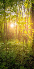 Load image into Gallery viewer, Sweet Hour of Prayer
