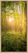 Load image into Gallery viewer, Sweet Hour of Prayer
