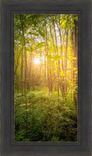 Load image into Gallery viewer, Sweet Hour of Prayer
