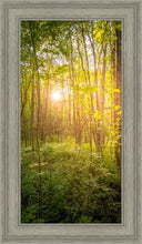 Load image into Gallery viewer, Sweet Hour of Prayer
