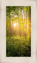Load image into Gallery viewer, Sweet Hour of Prayer
