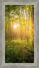 Load image into Gallery viewer, Sweet Hour of Prayer
