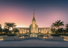Load image into Gallery viewer, Fort Lauderdale Temple Nativity
