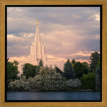 Load image into Gallery viewer, Idaho Falls Temple Eternal Light
