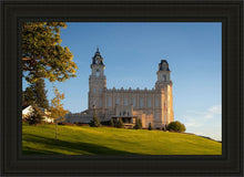 Load image into Gallery viewer, Manti Temple Golden Foundations
