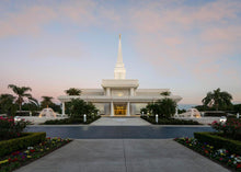 Load image into Gallery viewer, Orlando Temple Pathway
