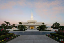 Load image into Gallery viewer, Orlando Temple Pathway
