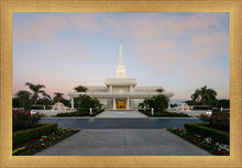 Load image into Gallery viewer, Orlando Temple Pathway
