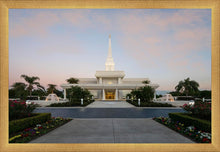 Load image into Gallery viewer, Orlando Temple Pathway
