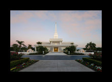 Load image into Gallery viewer, Orlando Temple Pathway
