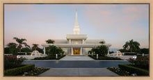 Load image into Gallery viewer, Orlando Temple Pathway
