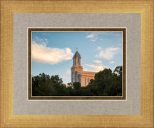 Load image into Gallery viewer, Cedar City Temple Juniper
