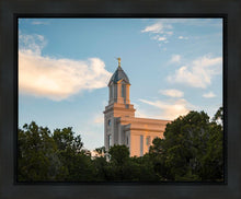 Load image into Gallery viewer, Cedar City Temple Juniper

