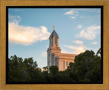 Load image into Gallery viewer, Cedar City Temple Juniper
