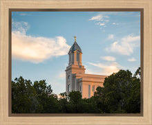 Load image into Gallery viewer, Cedar City Temple Juniper
