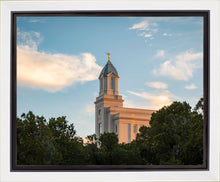 Load image into Gallery viewer, Cedar City Temple Juniper
