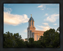 Load image into Gallery viewer, Cedar City Temple Juniper
