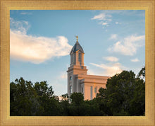 Load image into Gallery viewer, Cedar City Temple Juniper
